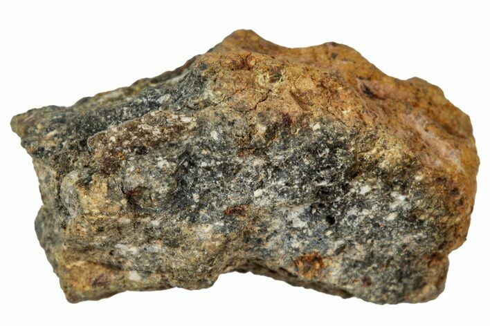 Howardite Meteorite ( g) - Bechar #348245
